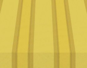320249