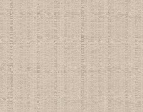 Soltis B92 2135