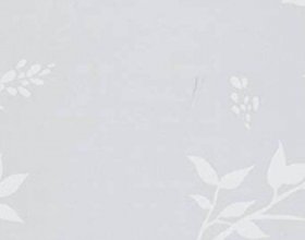 PR69766-01