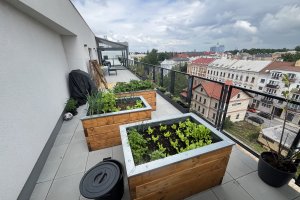 Pergola Linie + Posuvné skleněné stěny, realizace Bohemiaflex CS