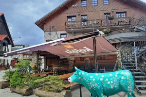 Markýzový přístřešek, Restaurace Šumava Inn, realizace Bohemiaflex CS