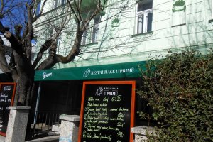 Ocelová konstrukce s PVC, RESTAURACE U PRIMŮ, BRNO, realizace Bohemiaflex CS
