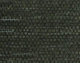 RF-PAP6