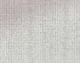 Soltis 92_2065